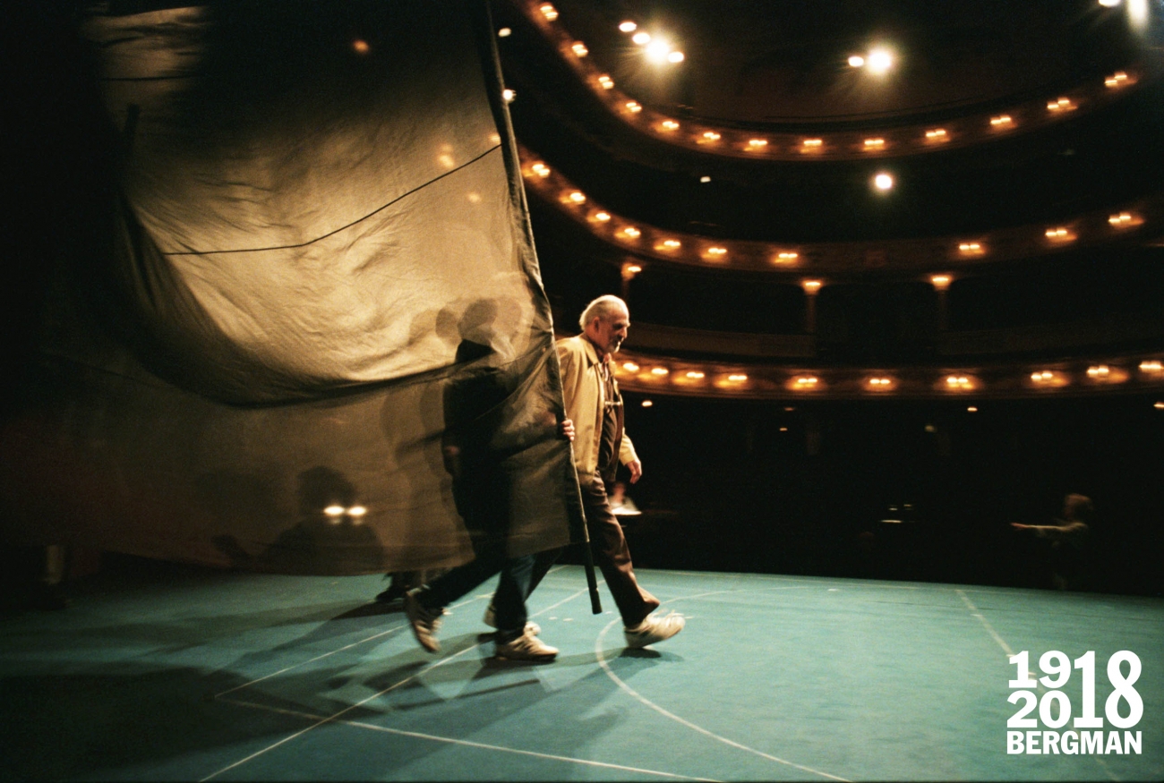 Ingmar bergman tom milne essay image