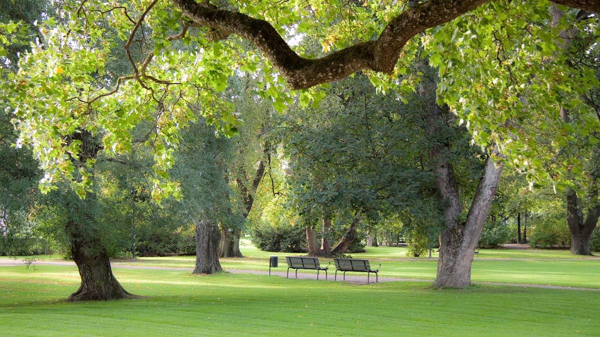 Uppsala Light Festival