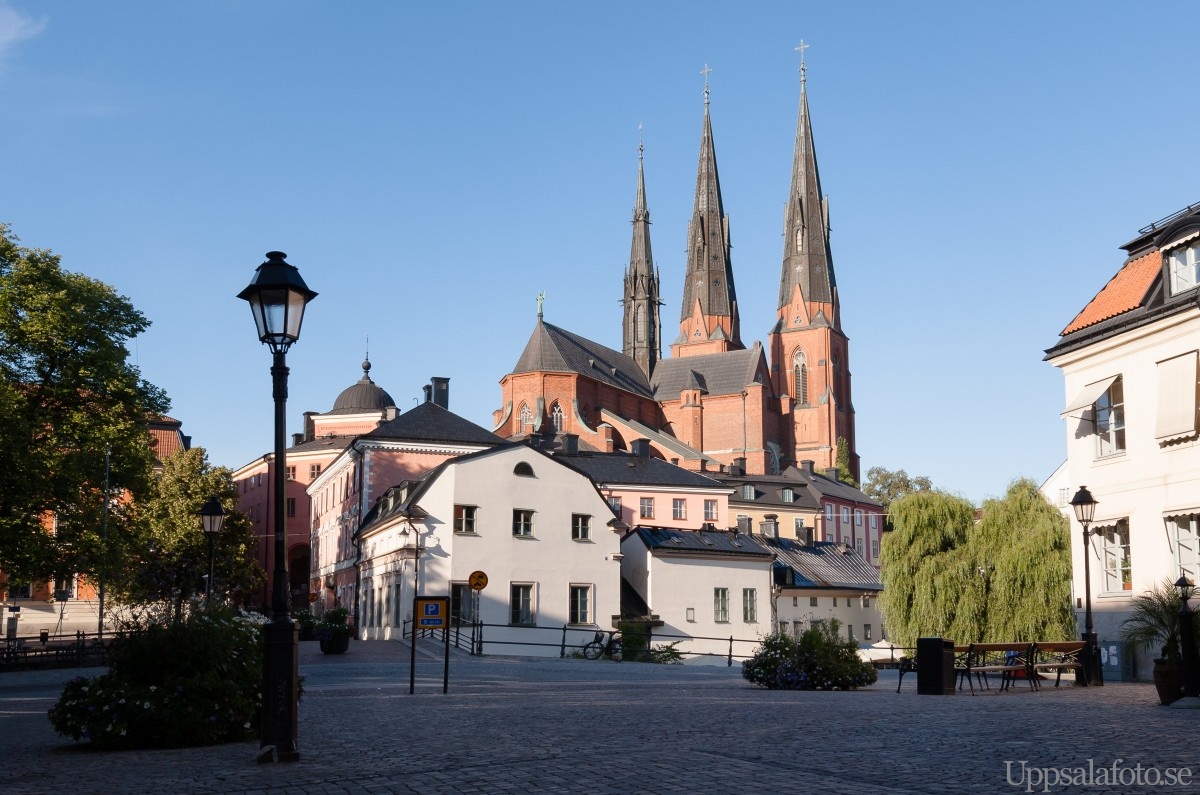 Uppsala city tours throughout the Year of Bergman