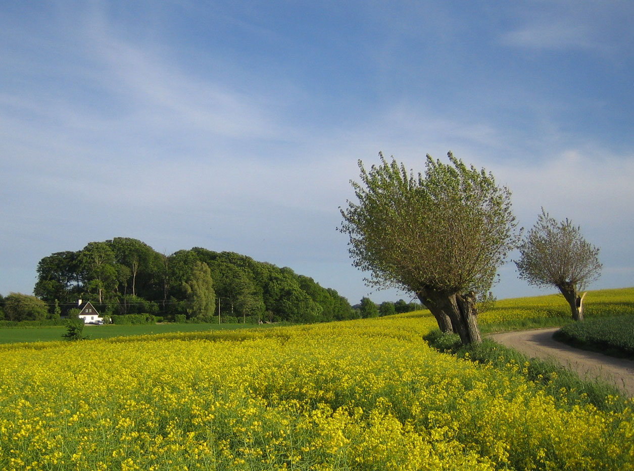 Skåne (Scania)