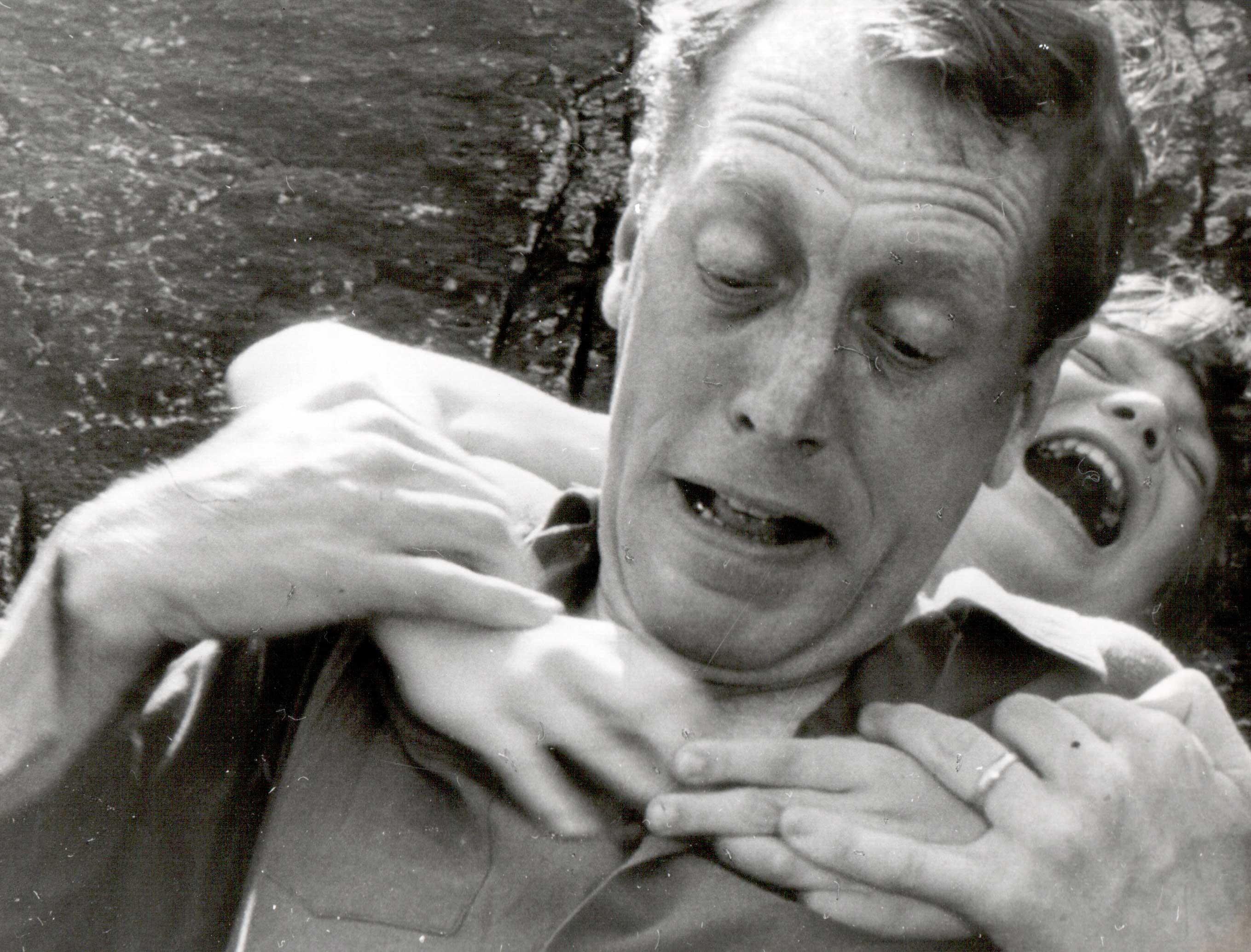 vargtimmen, Max von Sydow, Mikael Rundquist